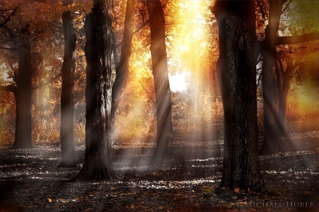 trudyaugustnewsletter