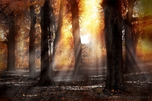 trudyaugustnewsletter-300x200