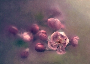 trudyaugustnewsletter2-300x213