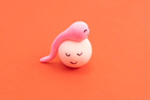 egg and sperm fertilization